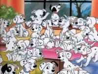 Les 101 dalmatiens
