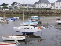Portivy