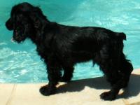 Sortie de bain