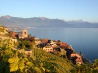 St-Saphorin et le lavaux