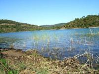 Lac de Saint-Cassien