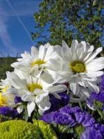 Flores