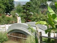 Paradisio : la passerelle