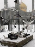 Il neige..