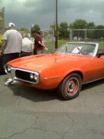 Firebird orange