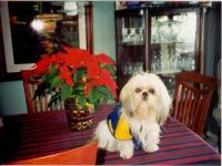 Beethoven 1