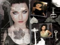 Amy lee