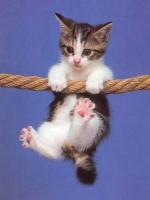 Au secours !!!