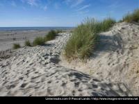 Dunes picardes