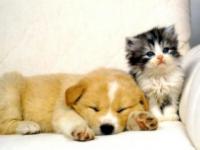 Que c'est gnon