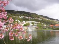 Alentours de Bergen