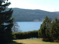 Titisee 2