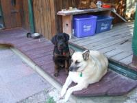 Major & Sheila