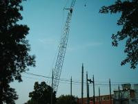 Haut d'une grue