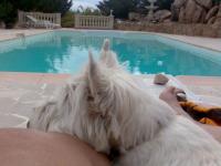 Aïna à la piscine
