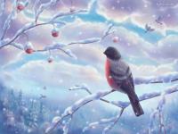 Oiseaux l'hiver