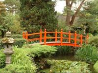 Jardin japonais