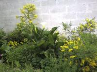 Ma nature