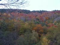 Automne dans les Pyrénées