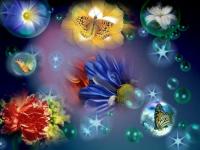 Les fleurs