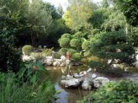 Bassin japonais