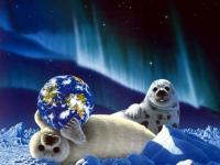 La fragilité du monde.