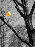 Le ballon jaune