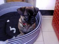 Jacki