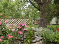 Paysage, roses