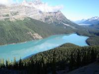 Peyto Lake - Canada