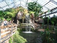 Cascade aux crocodiles