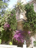 Jardin du Palais de Palma