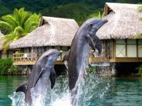 Bonjour, nous voilà...