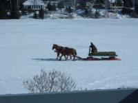 Calèche sur lac