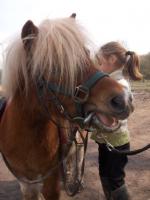 Le cheval et l'enfant