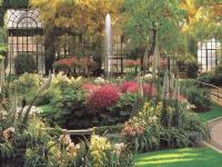 Longwood garden
