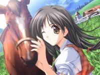 Mihorse