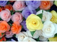 Velas de flores
