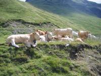 Col du Tourmalet : mes soeurs