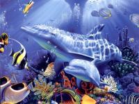 Dauphins bleus