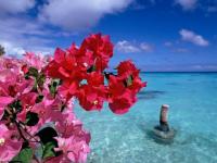 Atoll de Fakarava