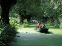Marais Poitevin 2