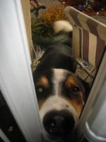 Je ne suis pas invité...