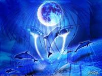 Manga dauphins bleu