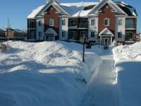 Soleil sur neige