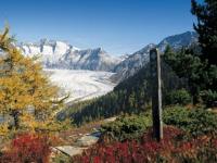 Glacier d'Aletsch