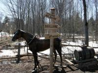 Direction la cabane à sucre
