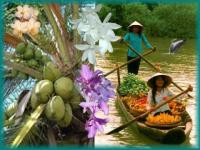 Exotisme Vietnam