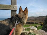 Le Cotentin