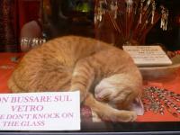 Vitrine bijouterie